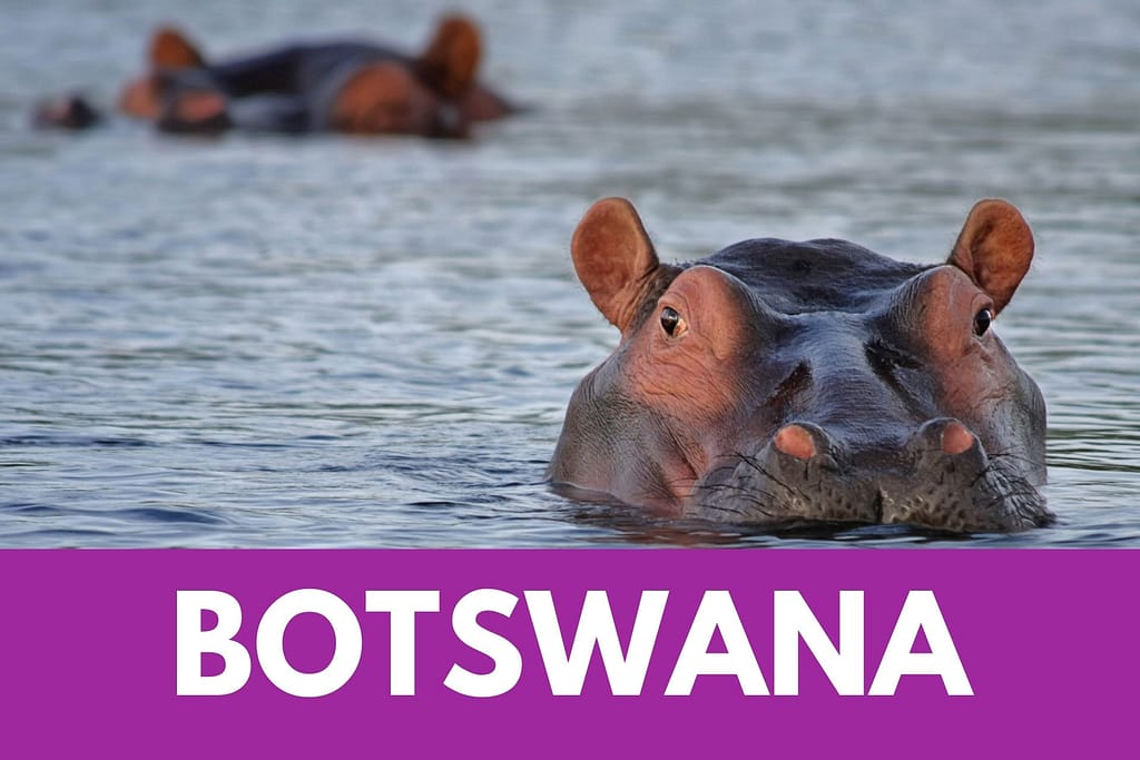 Viaggi in Botswana